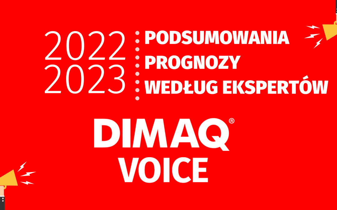 Podsumowanie roku 2022 i prognozy na kolejny z ekspertami DIMAQ Voice [wideo]